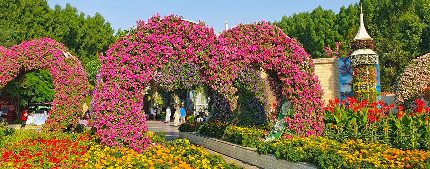 Dubai Miracle Garden je dokonalou pastvou pro oči
