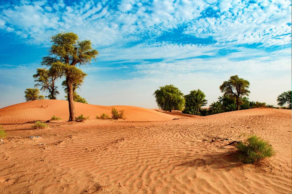 poušť v emiratu Sharjah