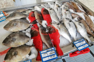 čerstvé ryby v tržnici Mercado dos Lavradores ve Funchalu