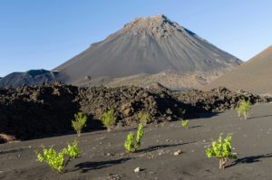 Na ostrově Fogo se v kráteru sopky pěstuje káva a víno