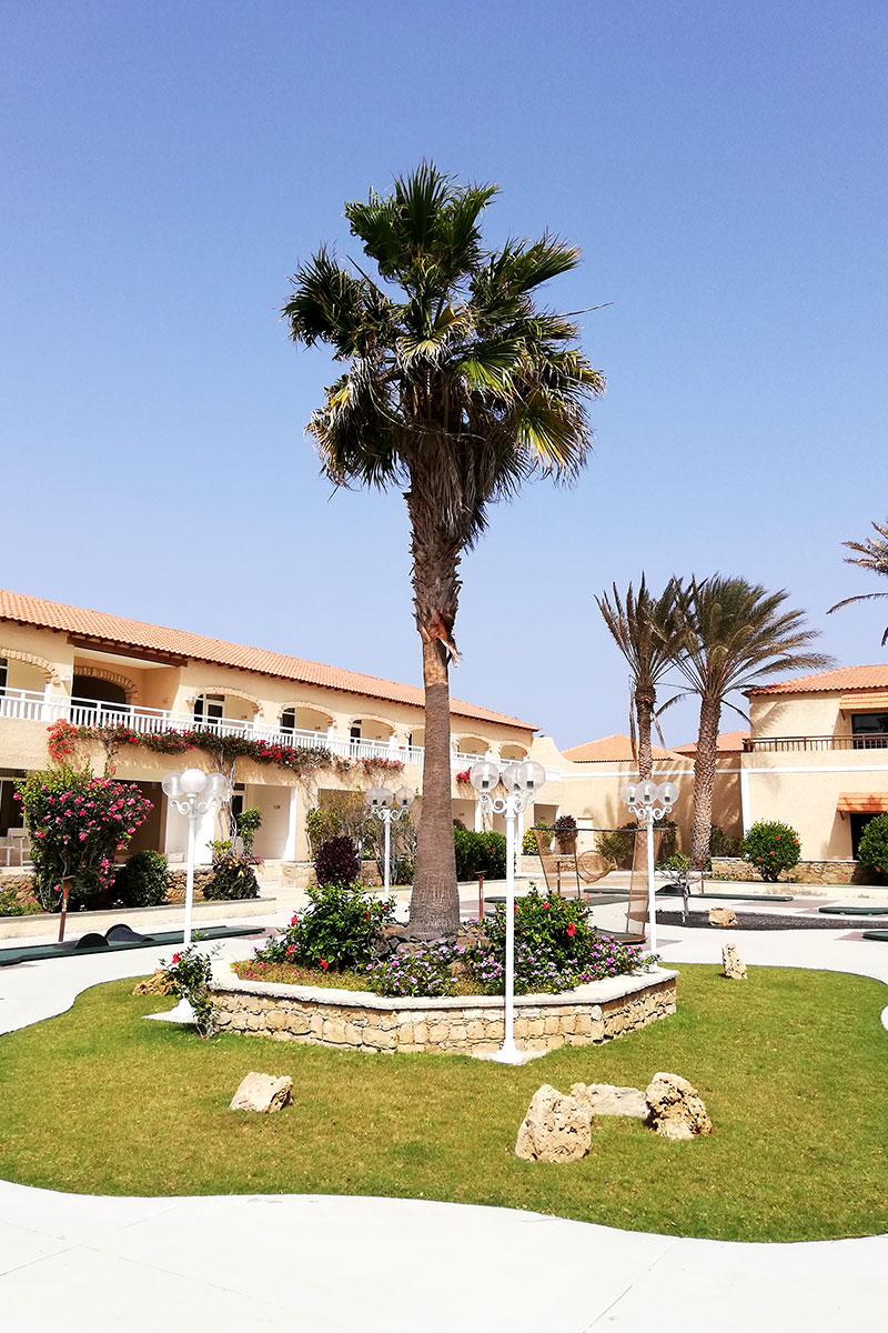 palma a minigolf v hotelu Morabeza