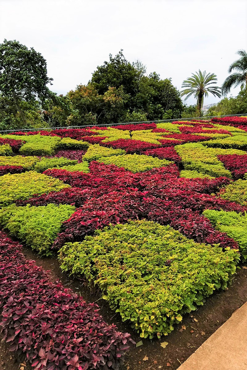 botanická zahrada Jardim Botânico da Madeira