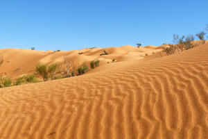 tuniská poušť