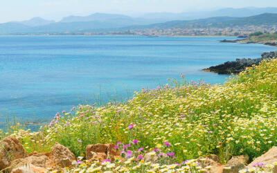 Týden na rozkvetlé jarní Krétě
