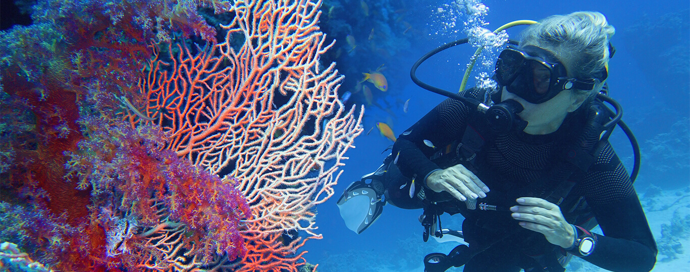 Hotel Gorgonia Beach: To nejlepší místo pro potápění a šnorchlování v Egyptě