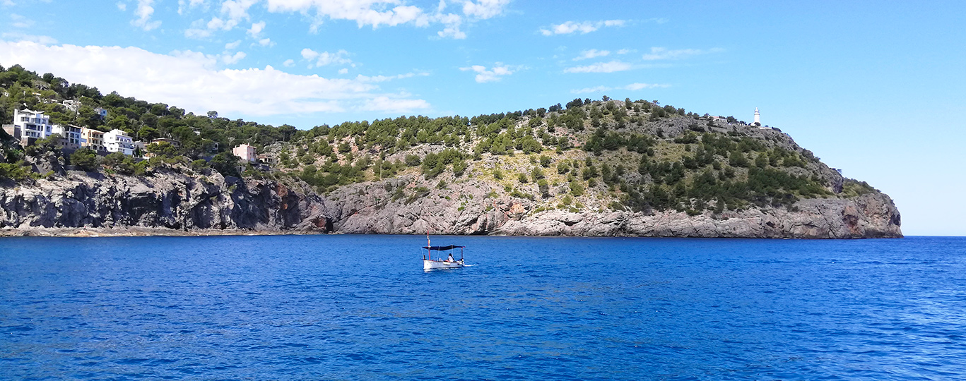 Okruh ostrovem: Celodenní výlet po ostrově Mallorca