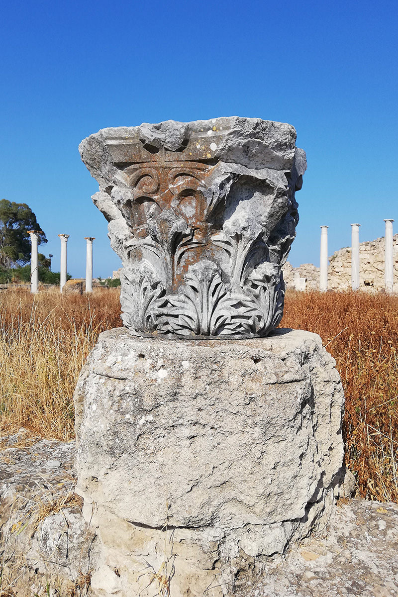 Salamis v destinaci Severní Kypr