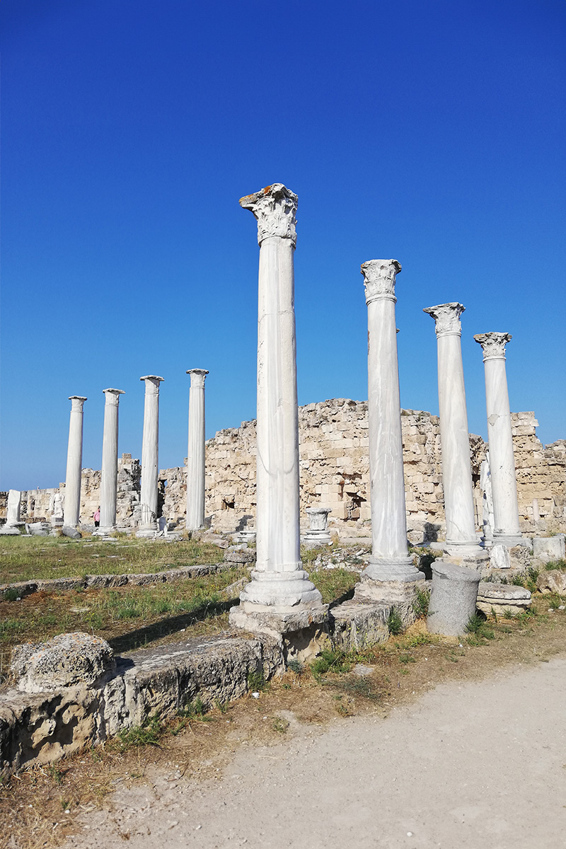 gymnasium v Salamis