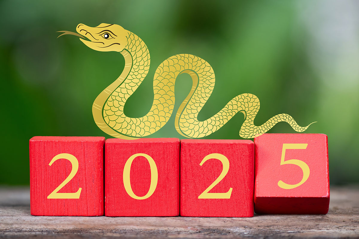 Čínský horoskop 2025 aneb Rok dřevěného Hada