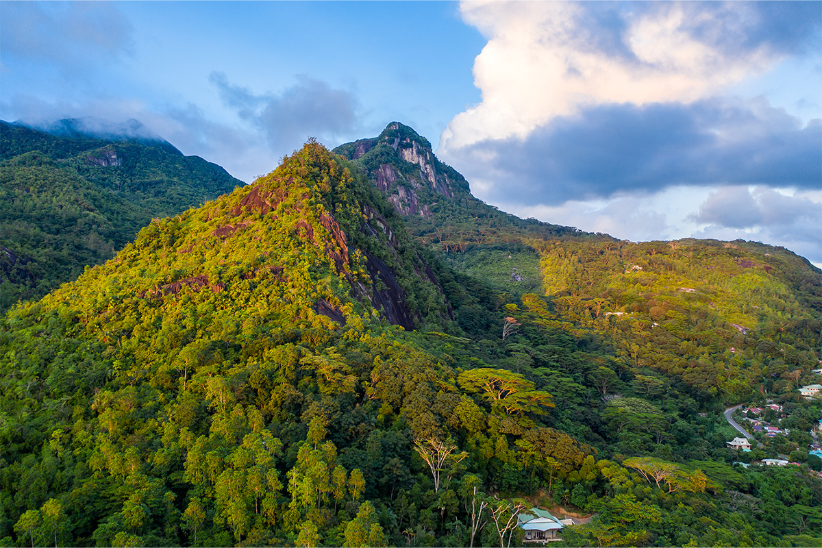 Morne Seychellois