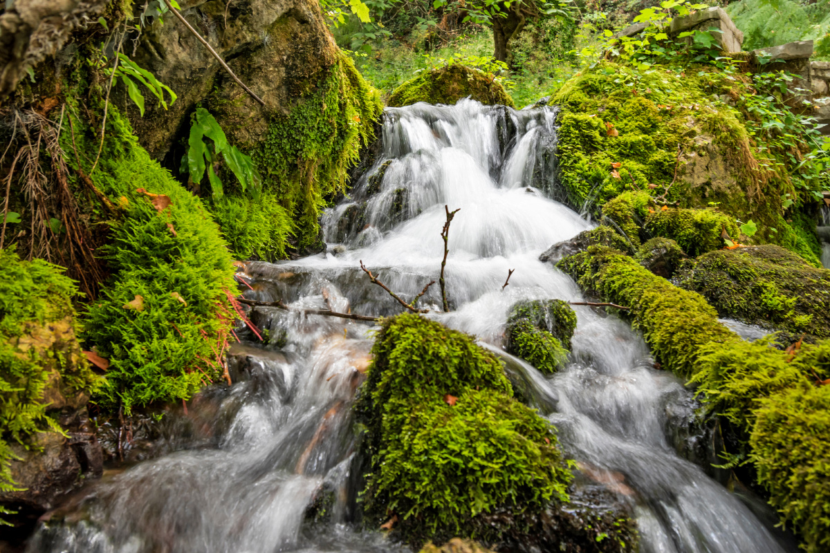 Uje i Ftohte Tepelene