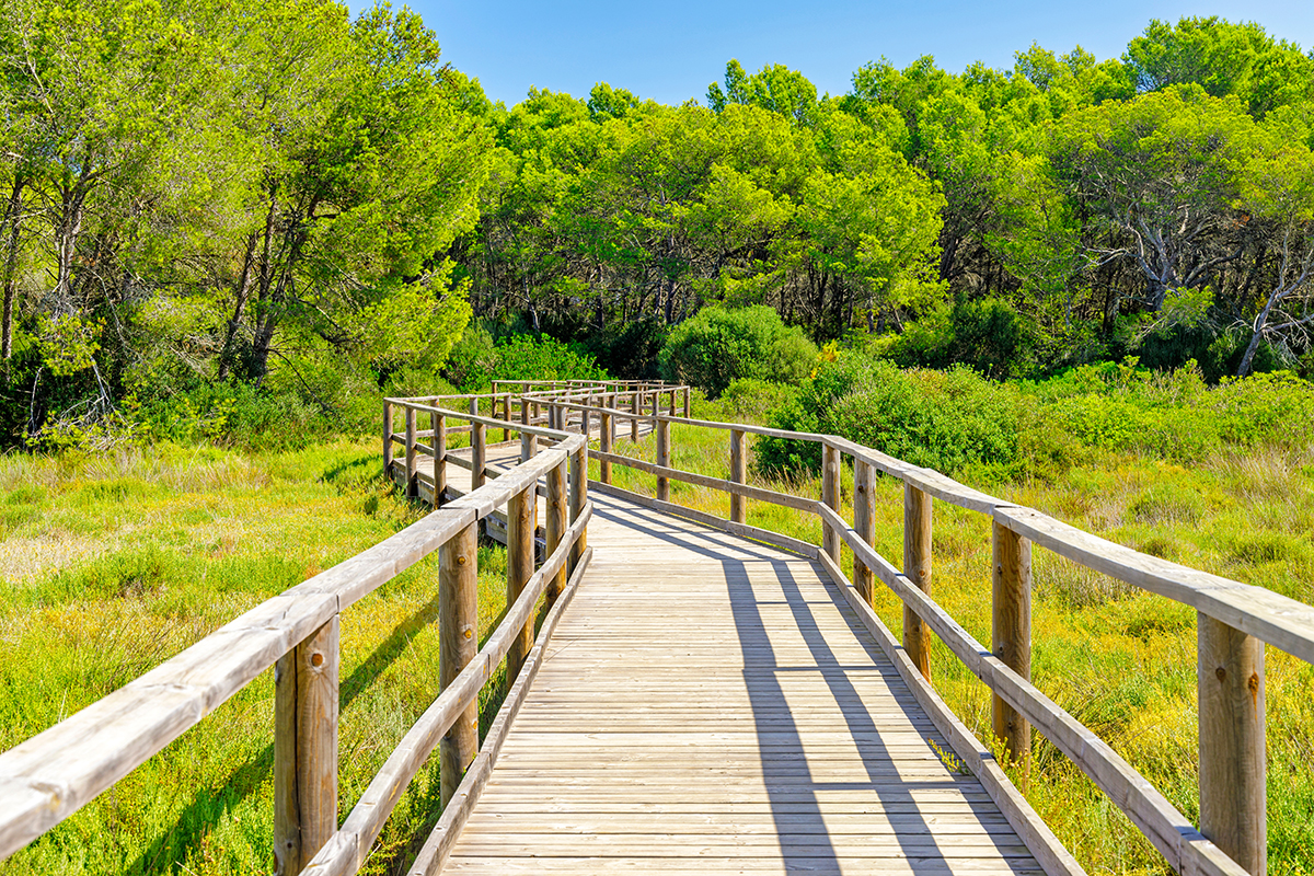 přírodní rezervace Parc Natural de s'Albufera des Grau na ostrově Menorca