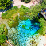 The Blue Eye neboli Syri i Kalter